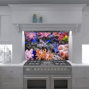 Coral Chorale Kitchen Splashback