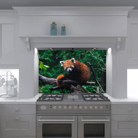 Caught Red Panda-ed Kitchen Splashback
