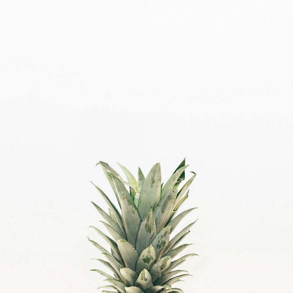 Pineapple Topper Kitchen Splashback